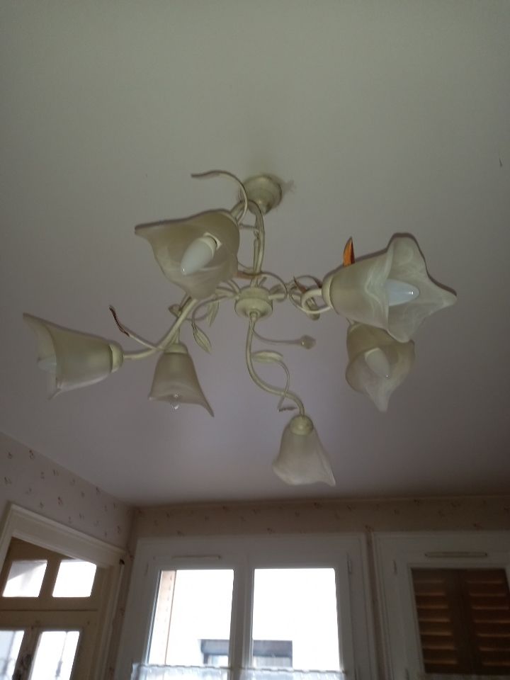 Lustre 6 branches + 2 appliques 50 Villiers (86)