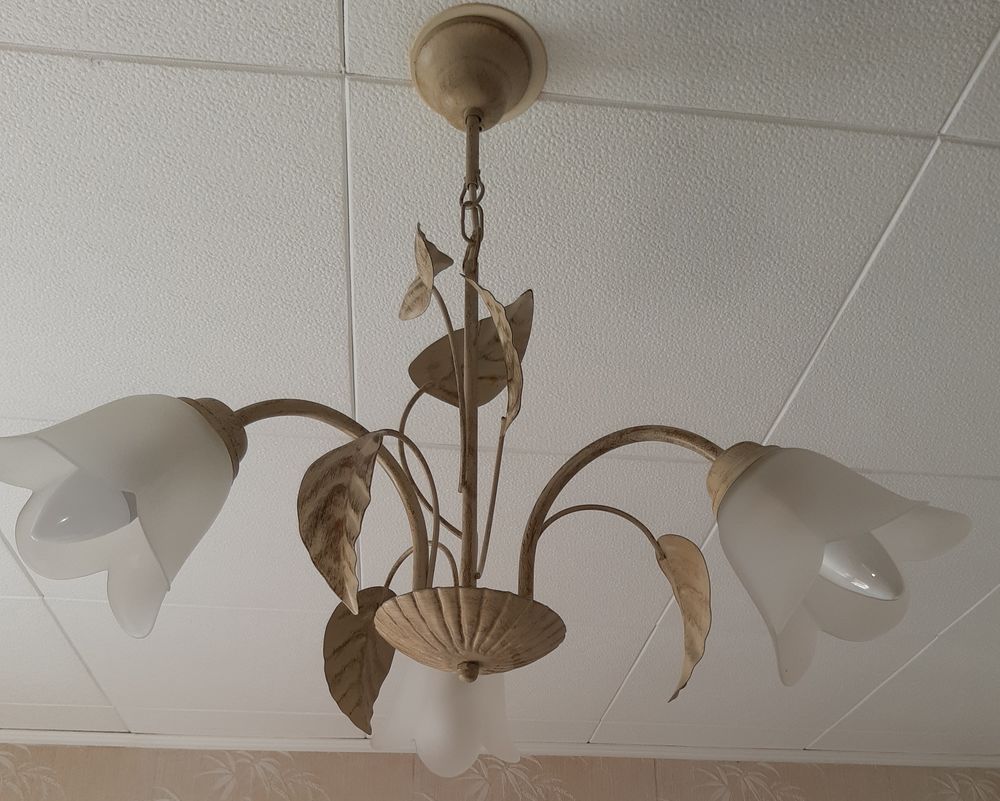 Lustre et chevets 50 Bayonne (64)