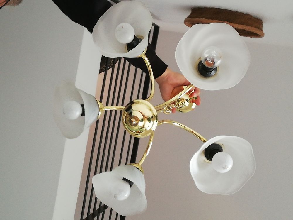 Lustre col de cygne dor� 5 branches 50 Ch�teauneuf-les-Martigues (13)