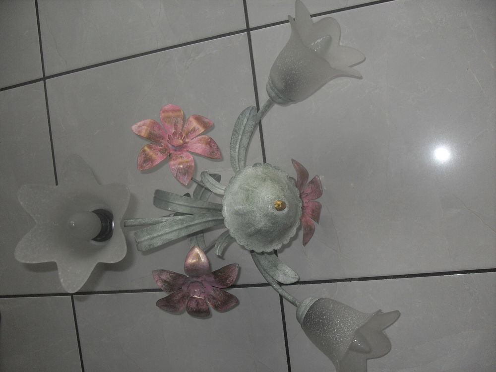 lustre  fleurs  15 Saint-Germain-au-Mont-d'Or (69)