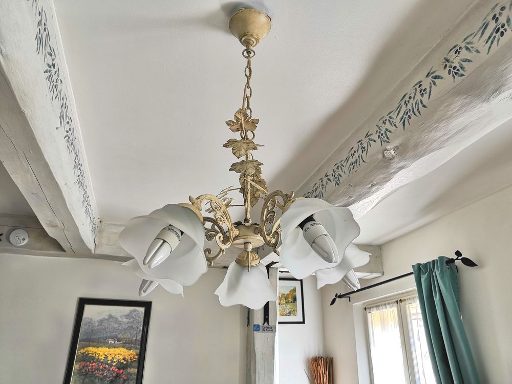 lustre fer forme feuillage 5 lampes 50 Six-Fours-les-Plages (83)