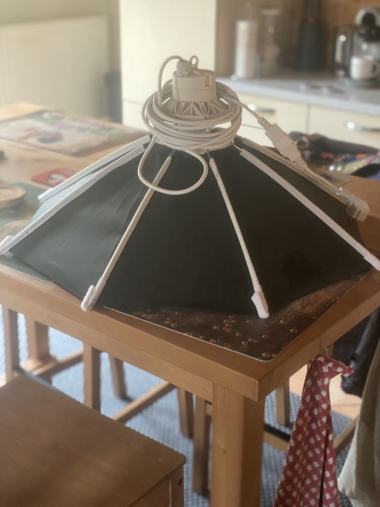 Lustre horticole 40 Grosne (90)