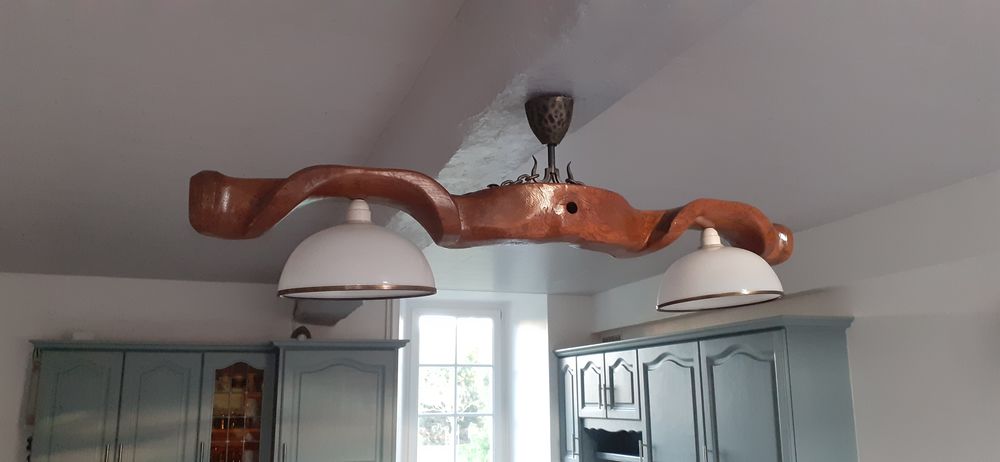 Lustre (joug) 25 Antigny (85)