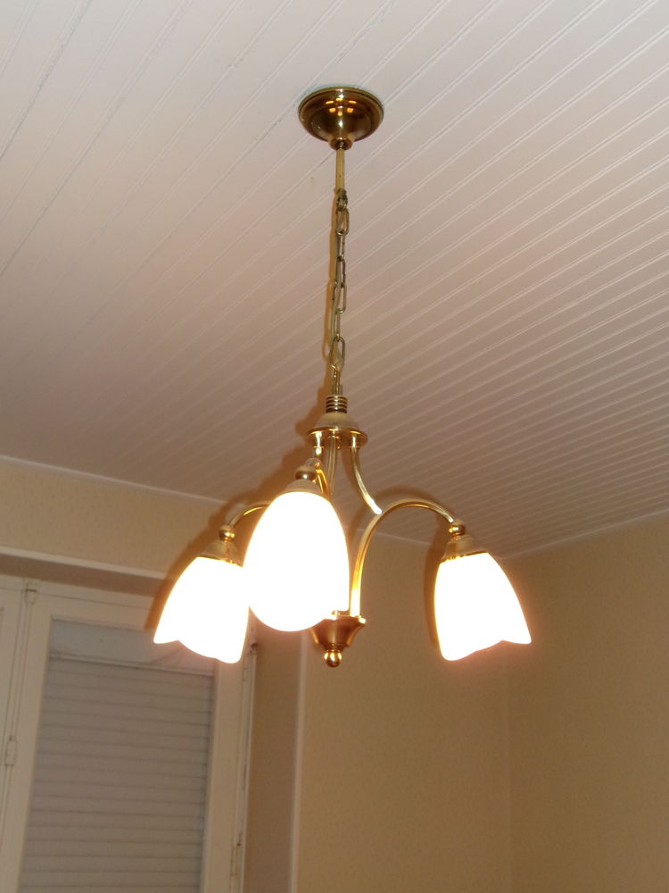Lustre en laiton clair abat-jour en Opaline 25 Foug�res (35)