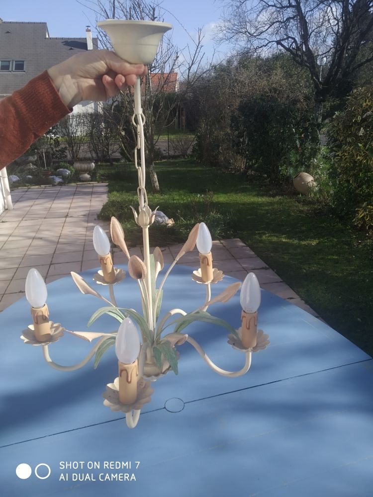 lustre moderne 15 Saint-Avertin (37)