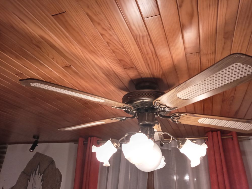 lustre palme 20 M�ricourt-l'Abb� (80)