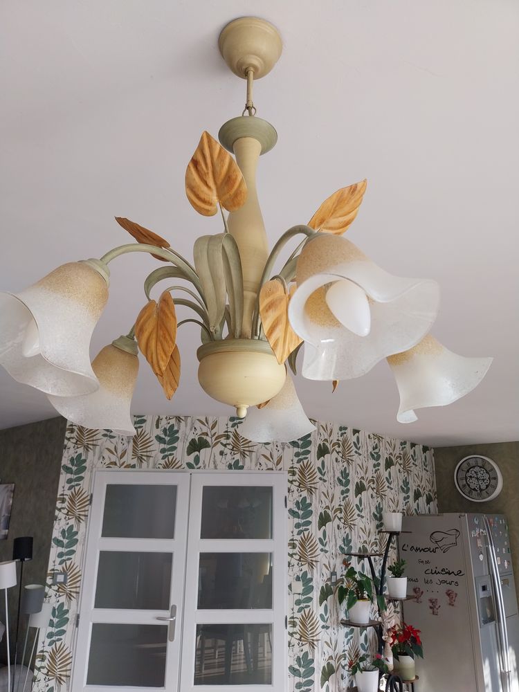 Lustre salle a manger 50 Godewaersvelde (59)