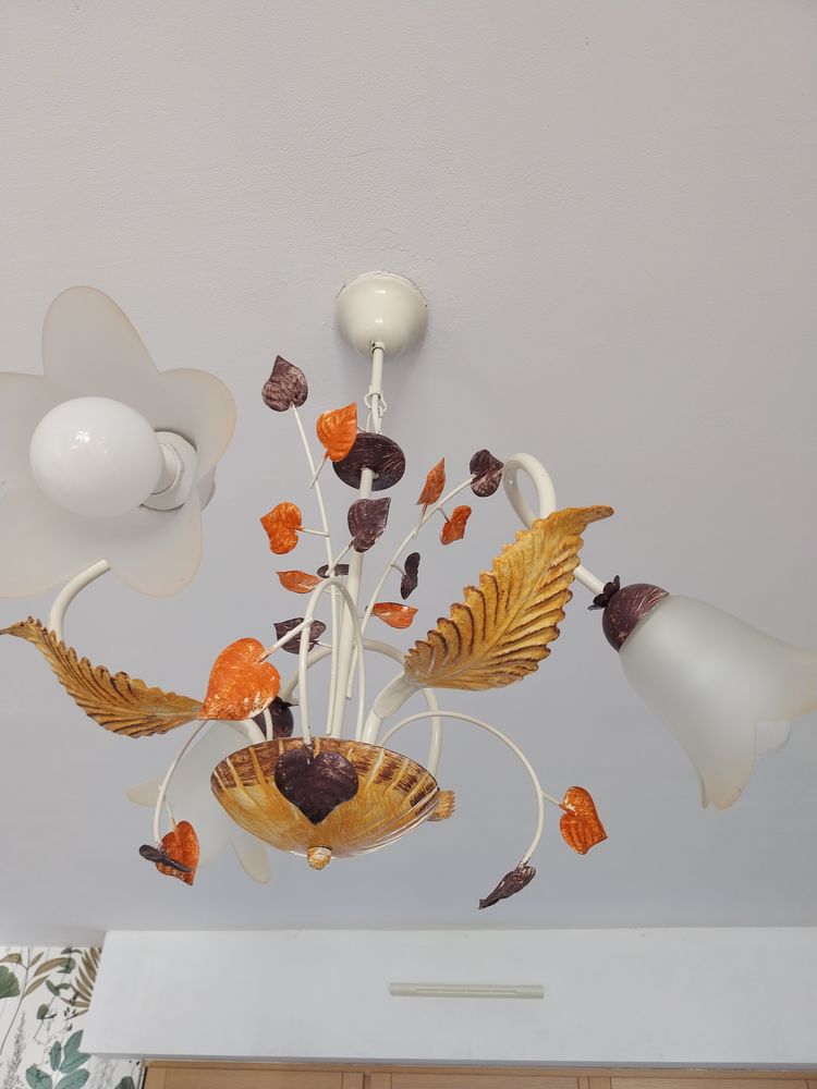 Lustre salon 30 Godewaersvelde (59)