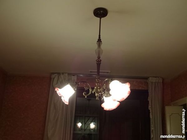 Achetez Lustre Tulipe Lustre Occasion Annonce Vente A Saint Prim 38 Wb152933496