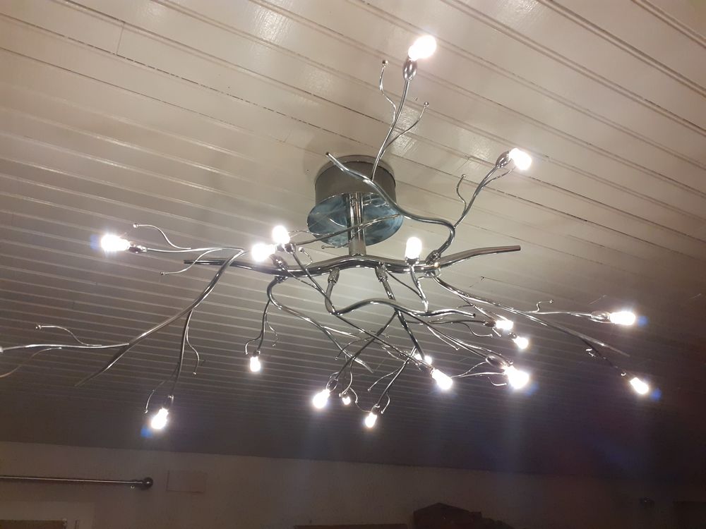 lustre v�g�tal 40 Prayssac (46)