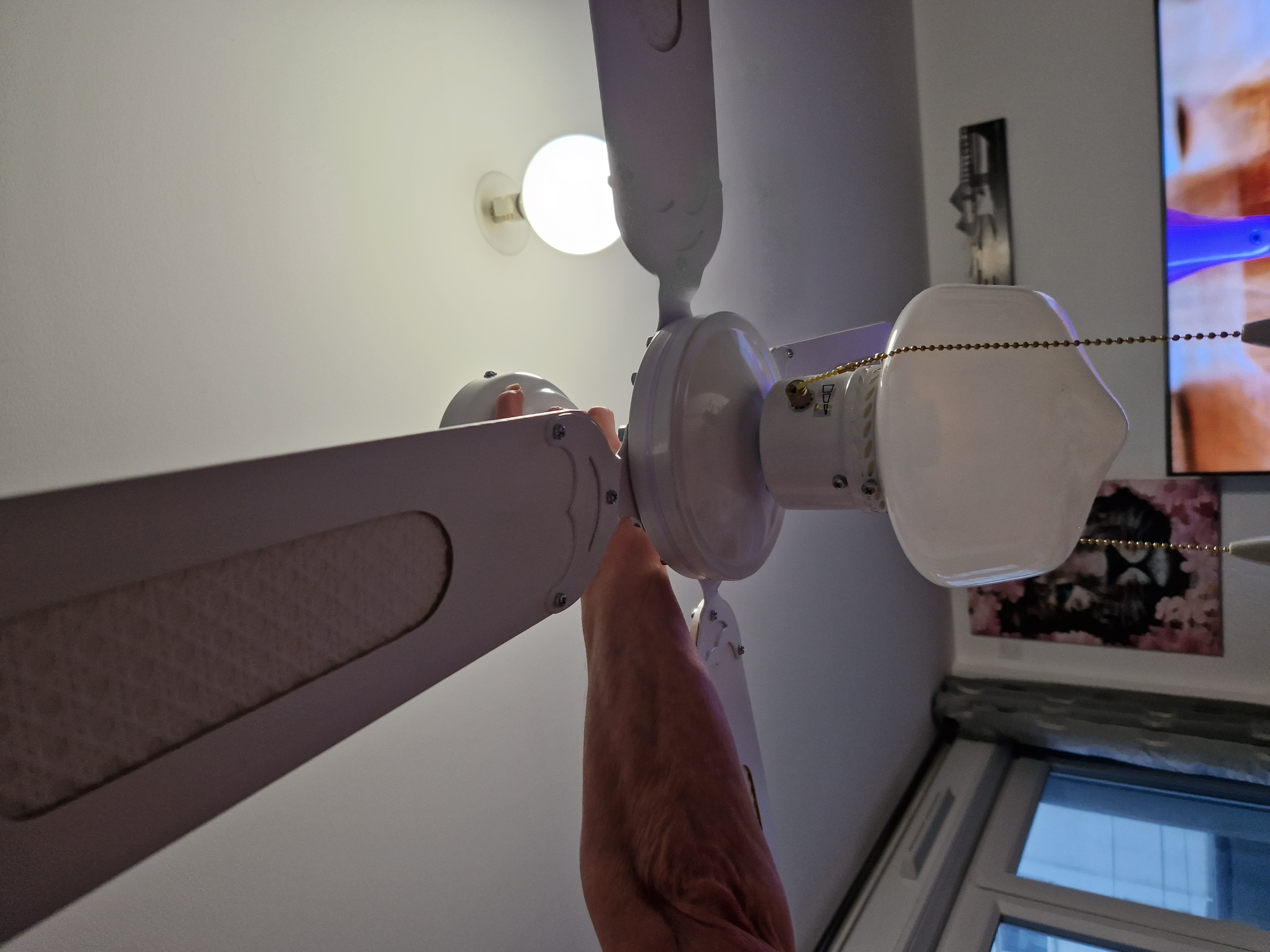 lustre ventilo a palmes 40 Saint-Nazaire (44)