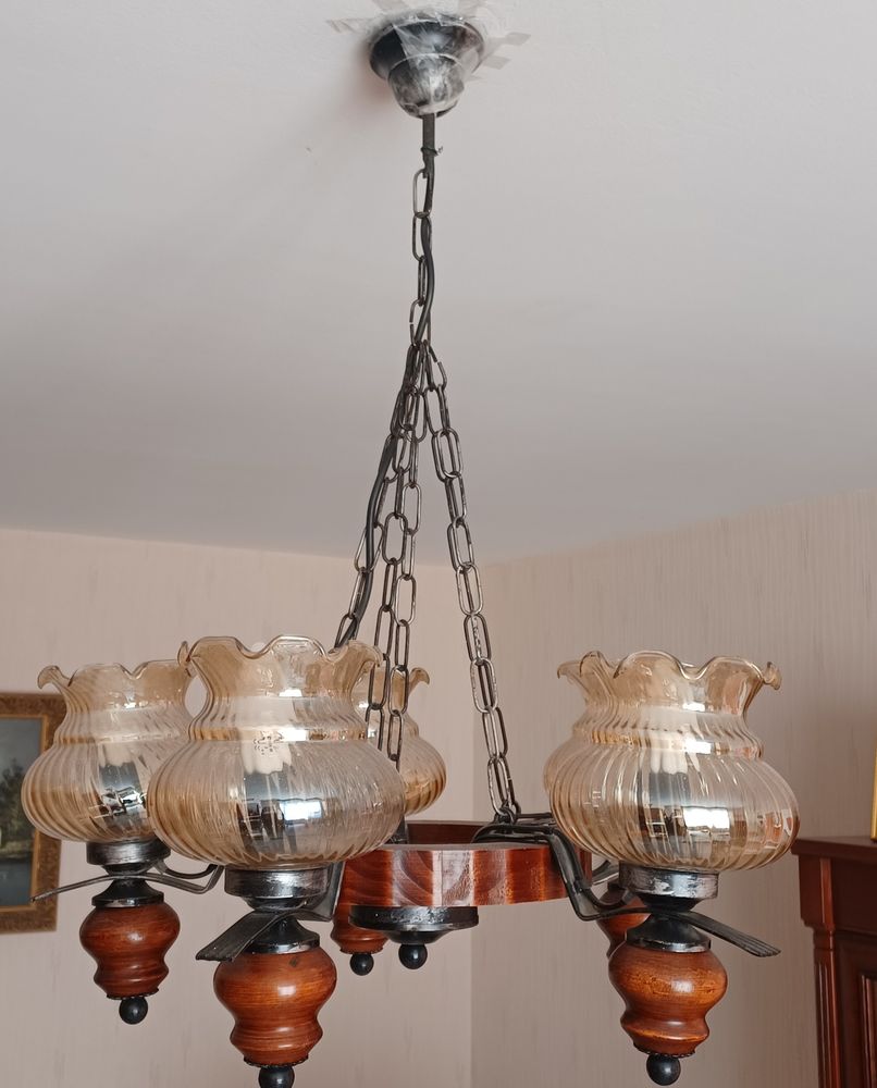 Lustre  vintage 100 Thilouze (37)