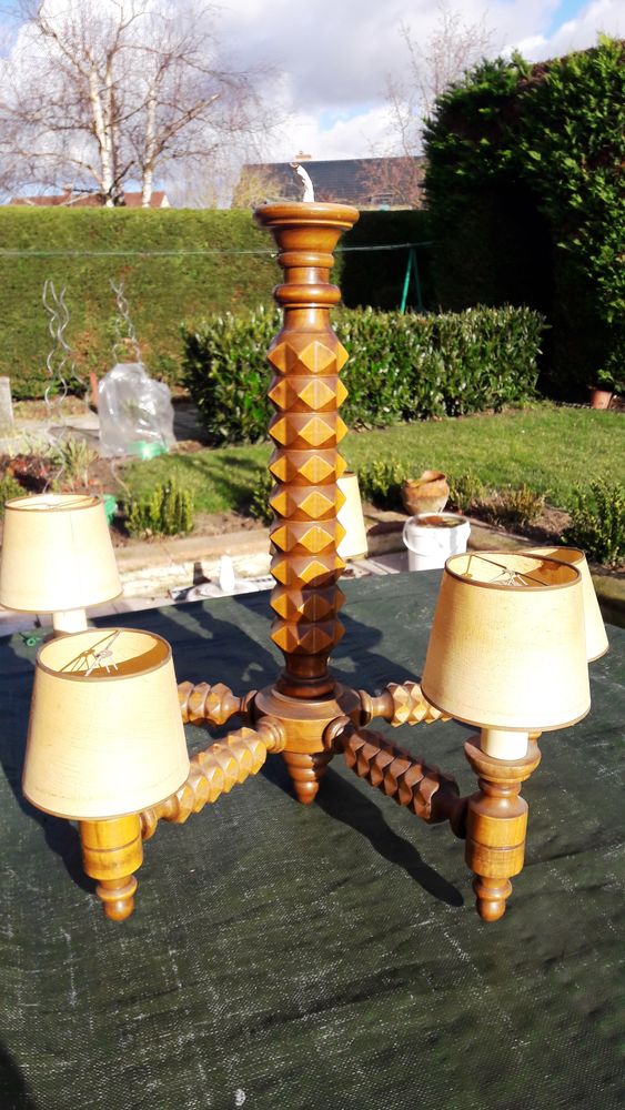 LUSTRE EN VOIS 12 Ormes (45)