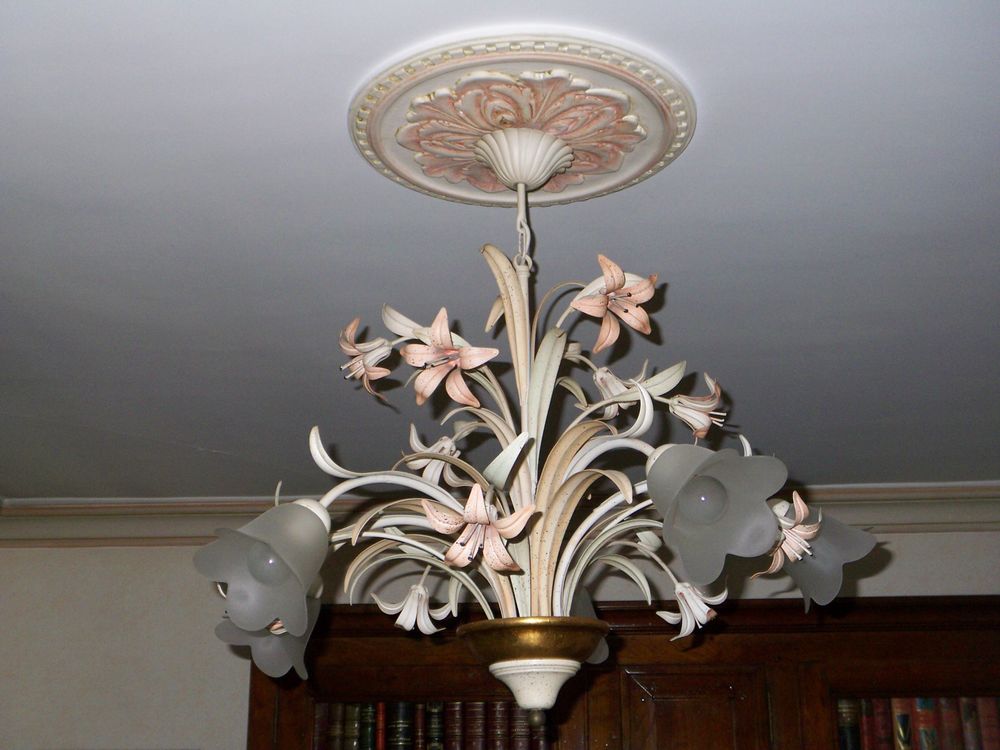 Lustre 
70 Bois-d'Arcy (78)