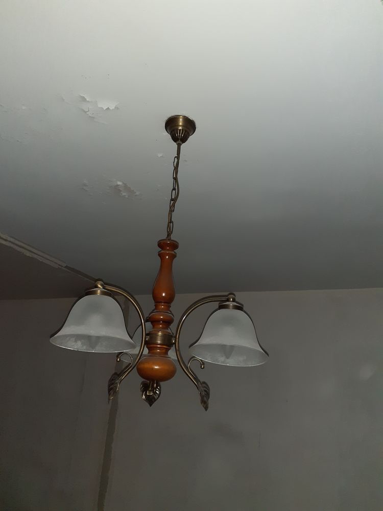 Lustre 20 La Bigotti�re (53)