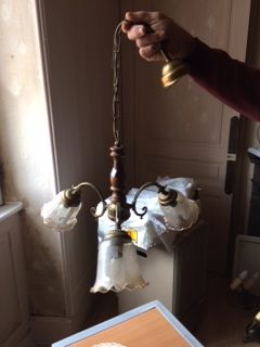 Lustre 30 Le Palais-sur-Vienne (87)