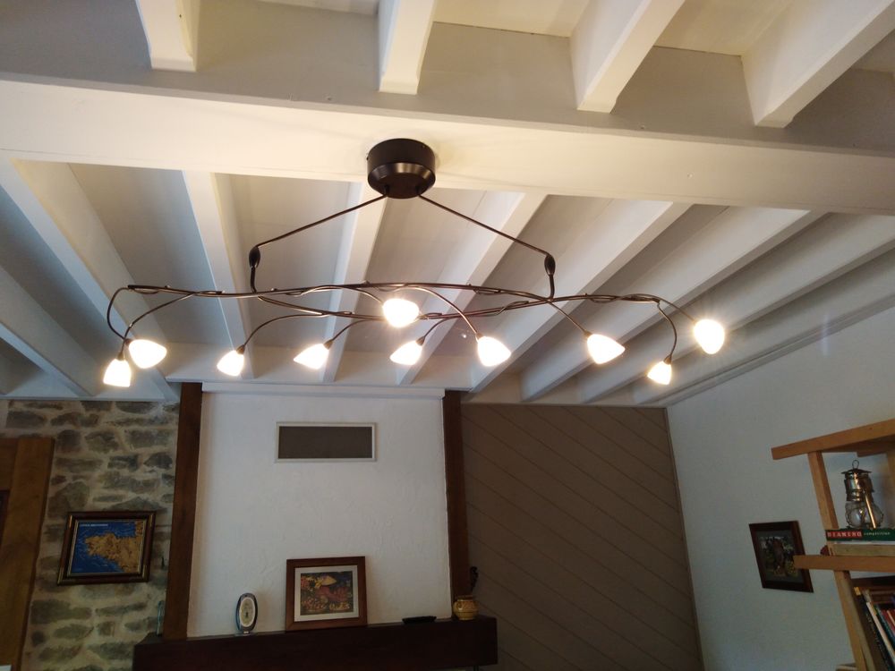  lustre 40 Saint-Aubin-du-Cormier (35)