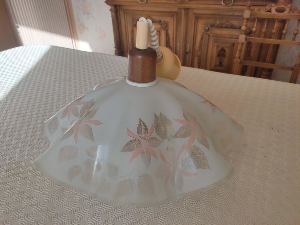 Lustre 20 Gaillac (81)