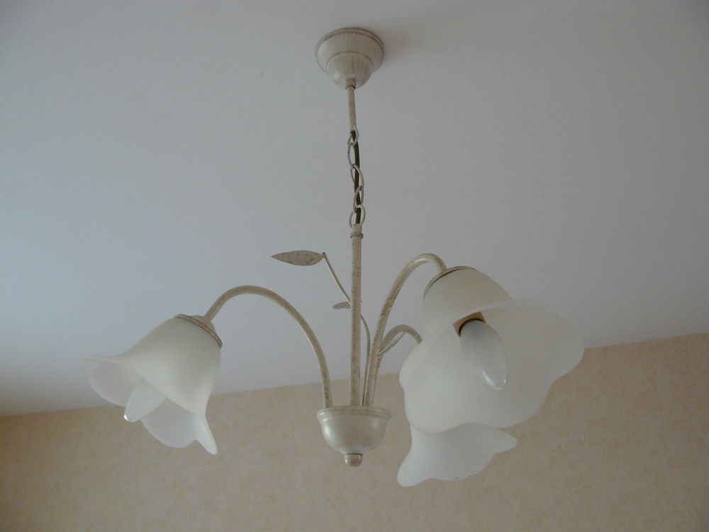 LUSTRE 20 Saint-Germain-du-Corb�is (61)