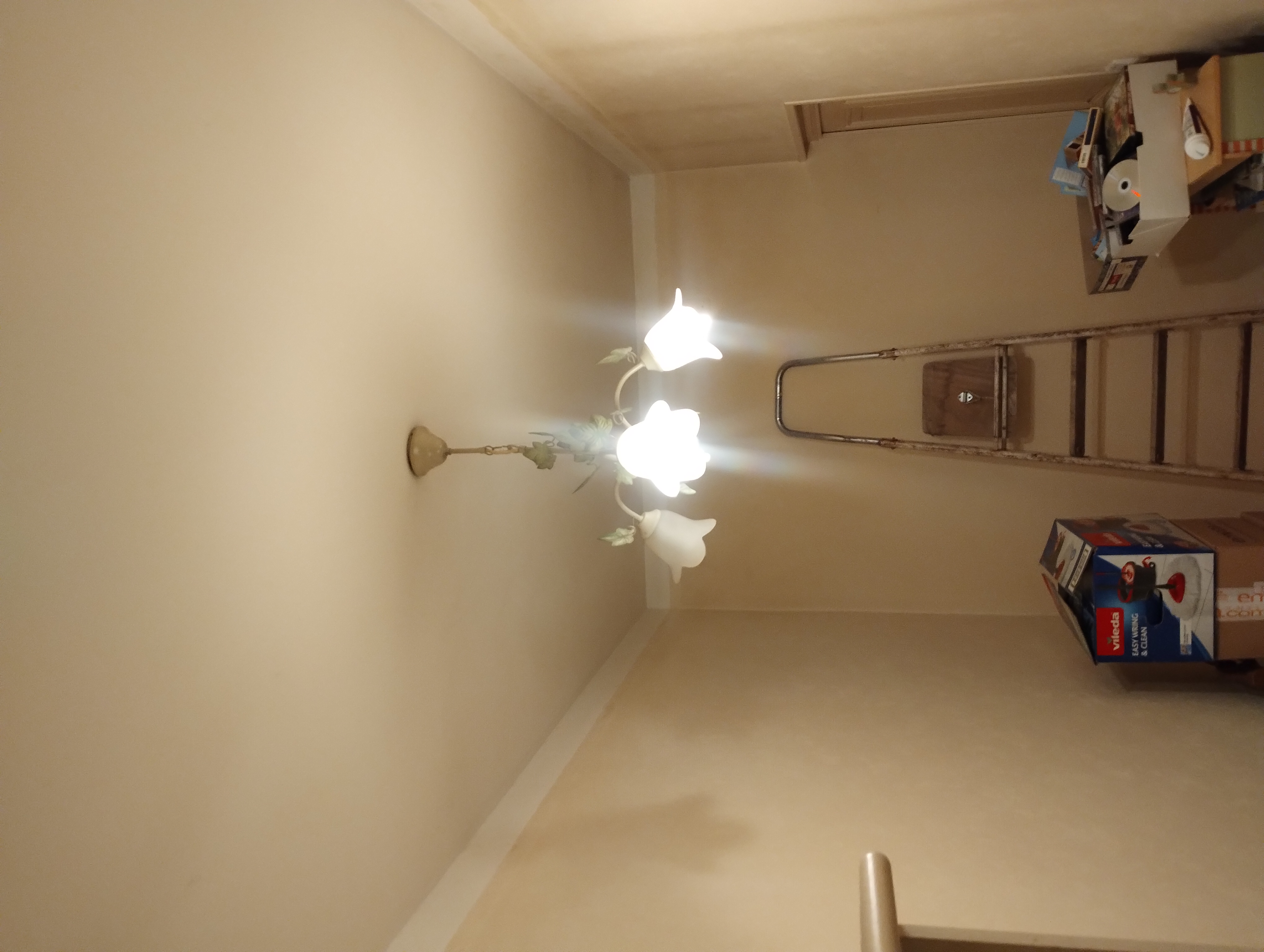 Lustre 25 Venarey-les-Laumes (21)