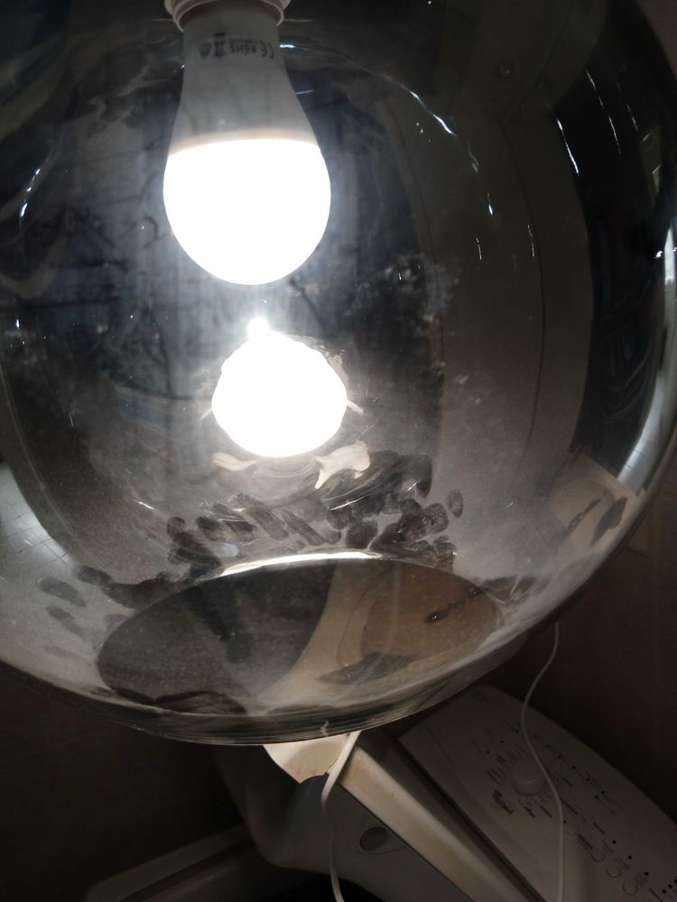 lustre 15 Belfort (90)