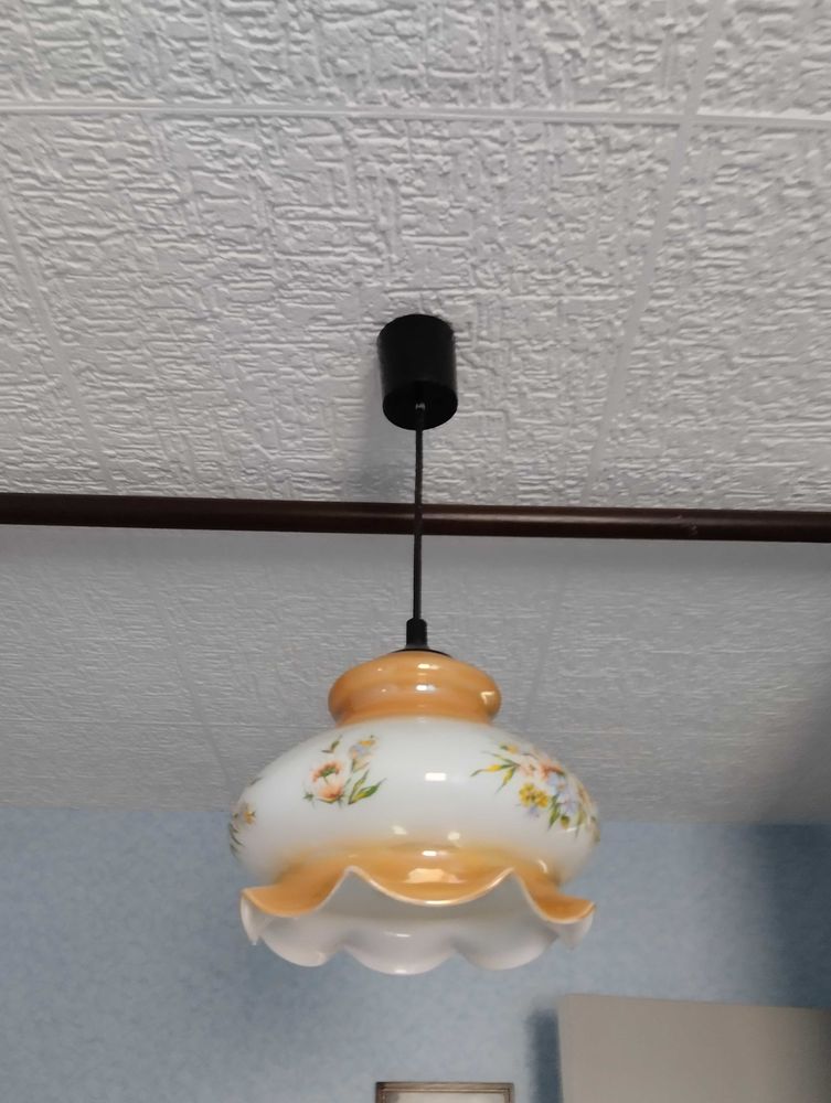 lustre 10 Fougerolles-du-Plessis (53)