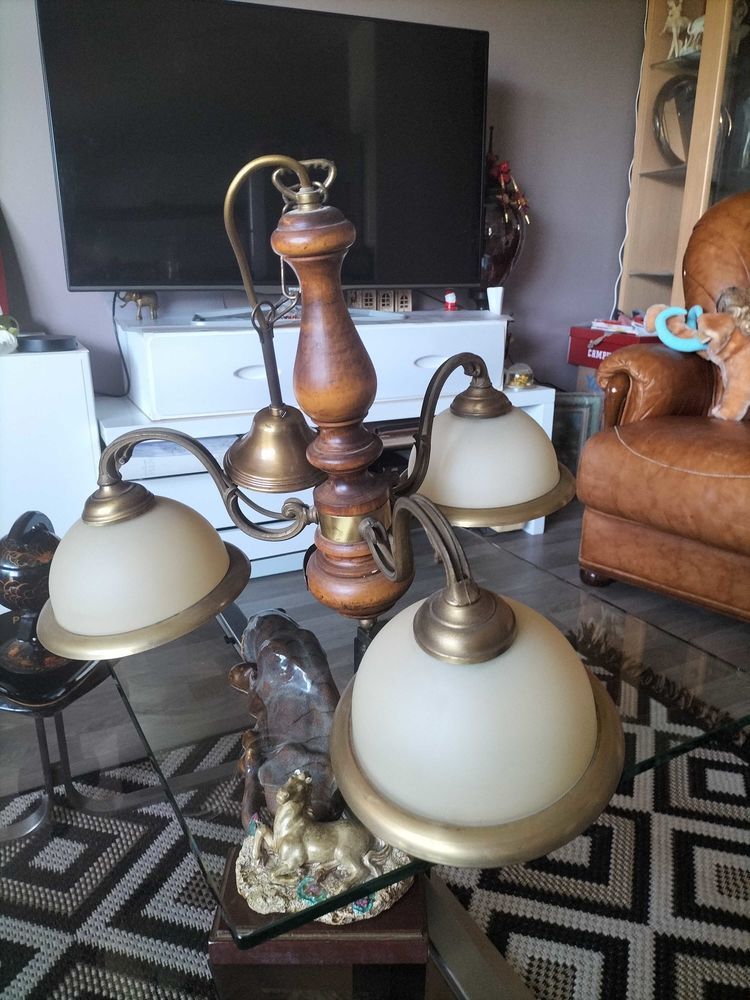 Lustre 50 Poitiers (86)