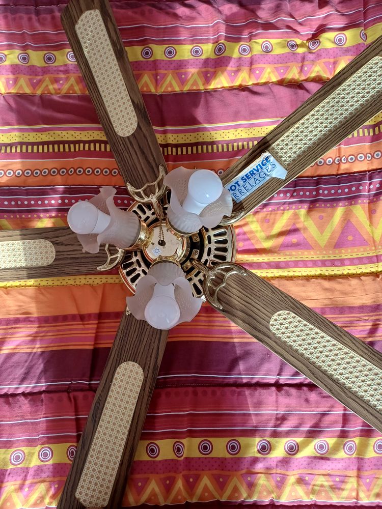 Lustre 30 Anjou (38)