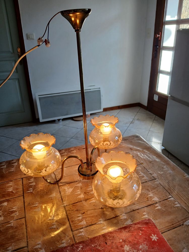 Lustre 10 Morillon (74)