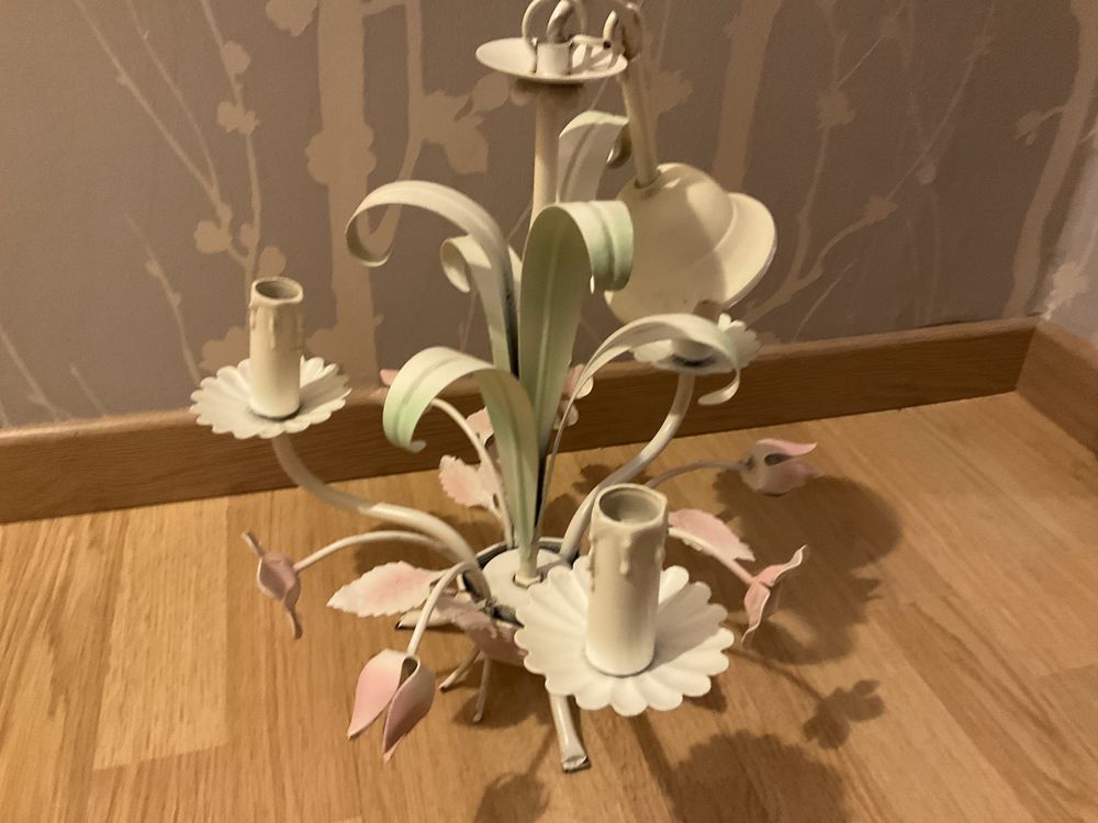 Lustre 30 Flines-lez-Raches (59)