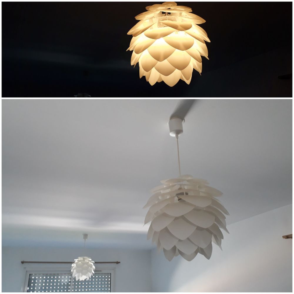 LUSTRES BLANCS  LOTUS 25 Saint-Loub�s (33)