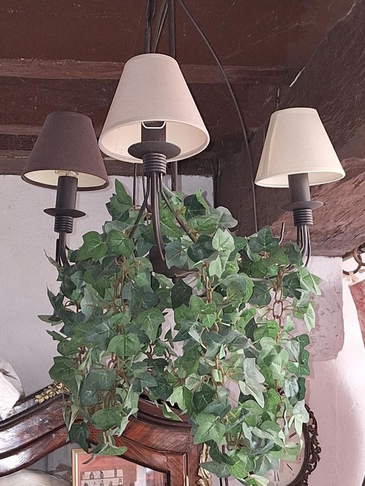 LUSTRES 3 et 8 BRANCHES en fer forg� 45 Foug�res-sur-Bi�vre (41)