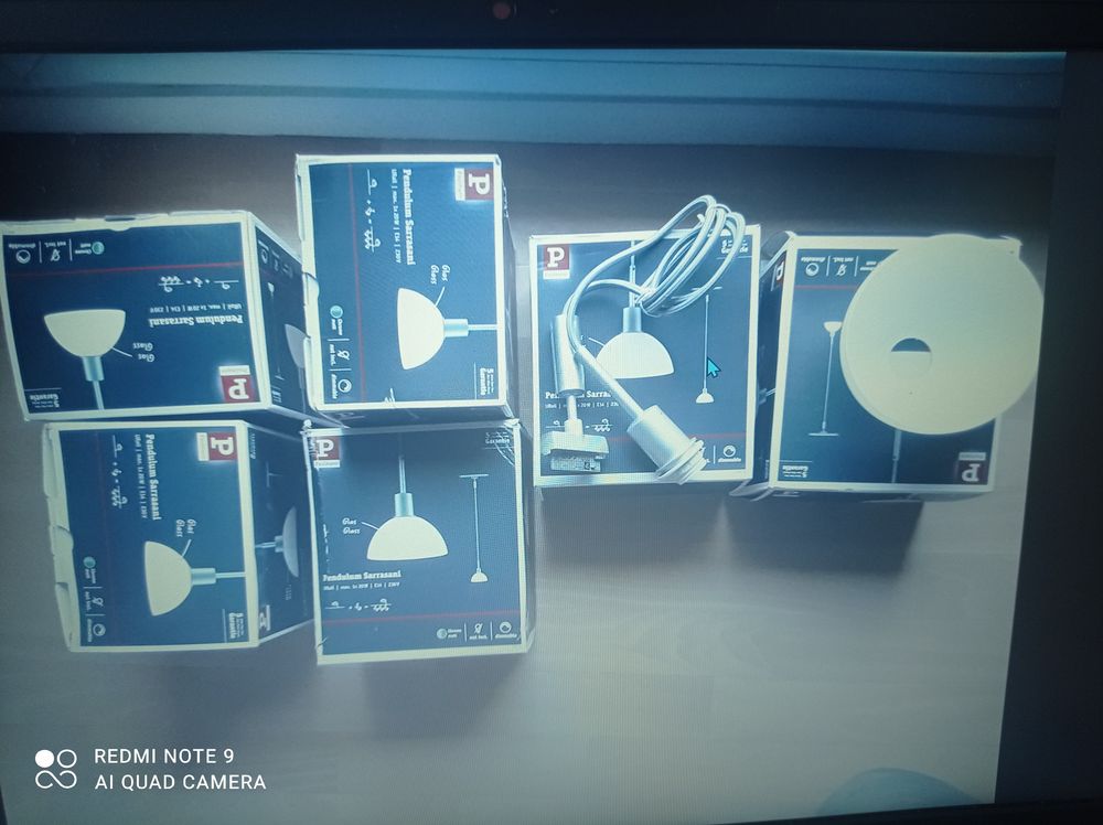 Lustres d'int�rieur 60 Le Mans (72)