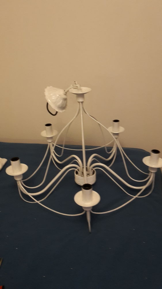 LUSTRES 40 Saint-Georges-de-Didonne (17)