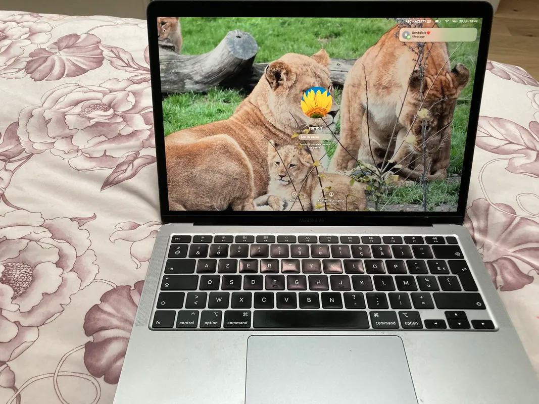 MacBook Air 2020 600 Le Teich (33)