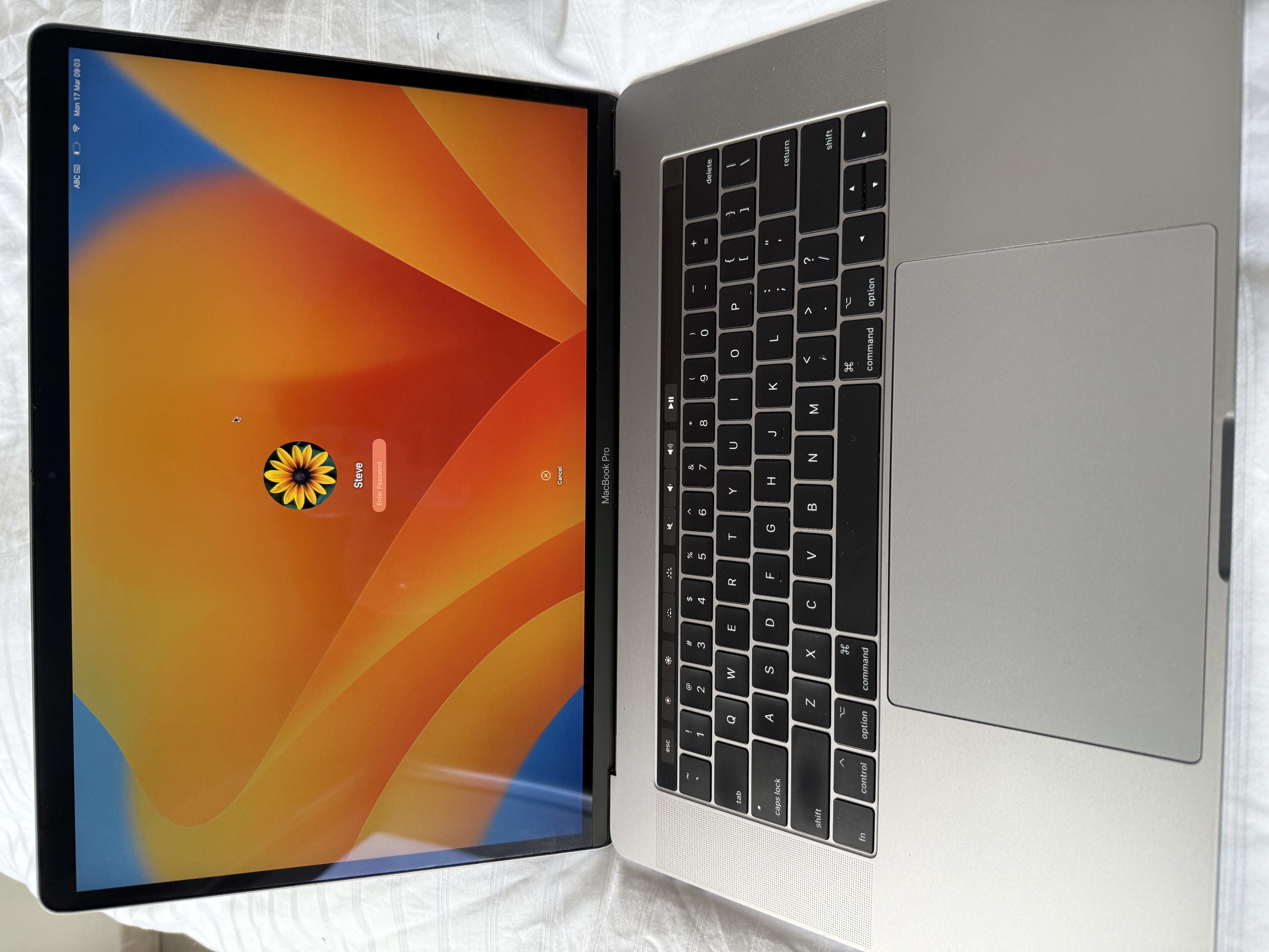 MacBook Pro Retina 15.4-inch (2017) + QUERTY magic keyboard 700 Perpignan (66)