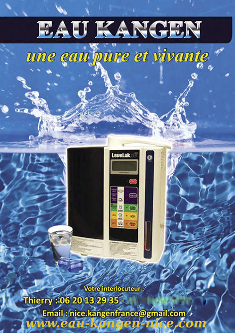 Machine Kangen sd 501 2780 Nice (06)