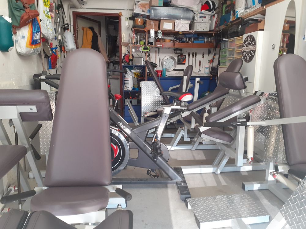  machines de musculation professionnel 1 Fessenheim (68)