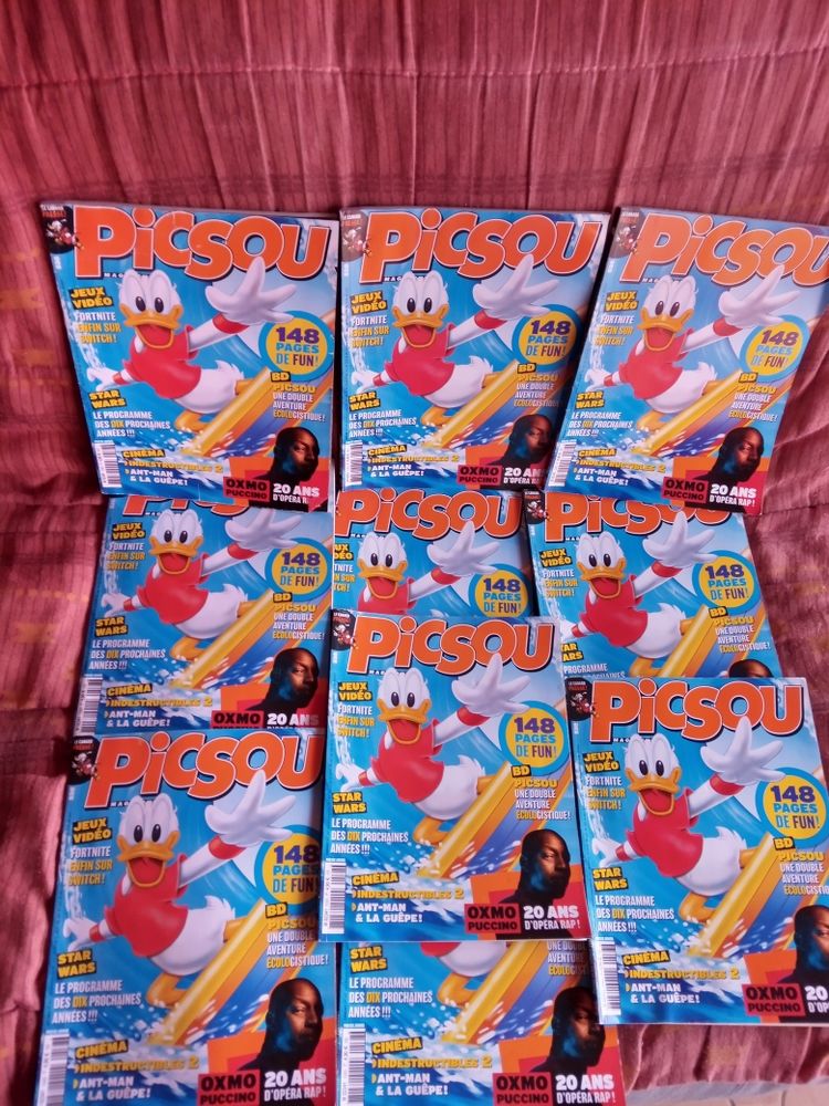 10 magazines picsous 10 Les Sables-d'Olonne (85)