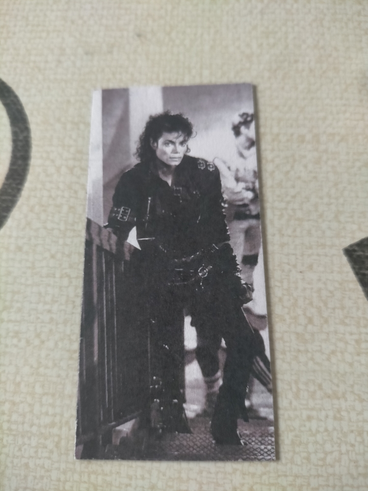 magnet Michael Jackson 4 Miribel (01)