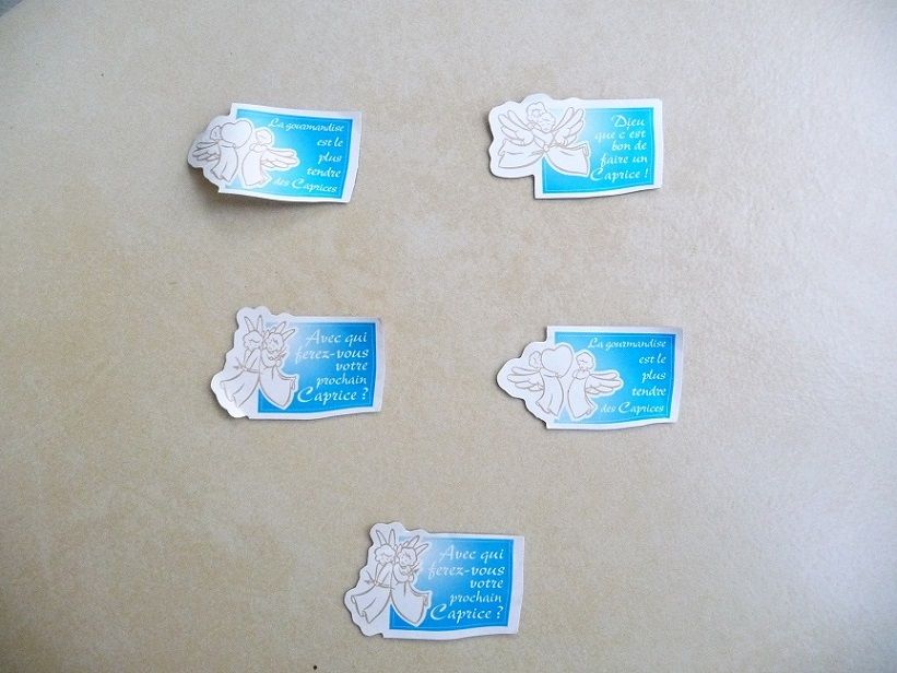 5 magnets Caprice des Dieux 5 Celles-sur-Belle (79)