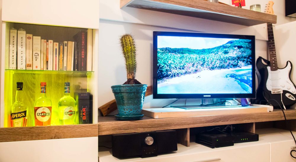 Magnifique cactus en poterie Artisanale 40 Le Cannet (06)