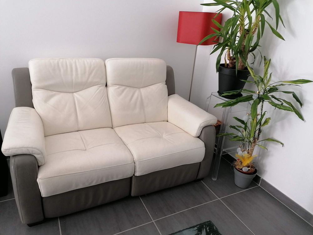 Magnifique canap� cuir 1000 Talant (21)