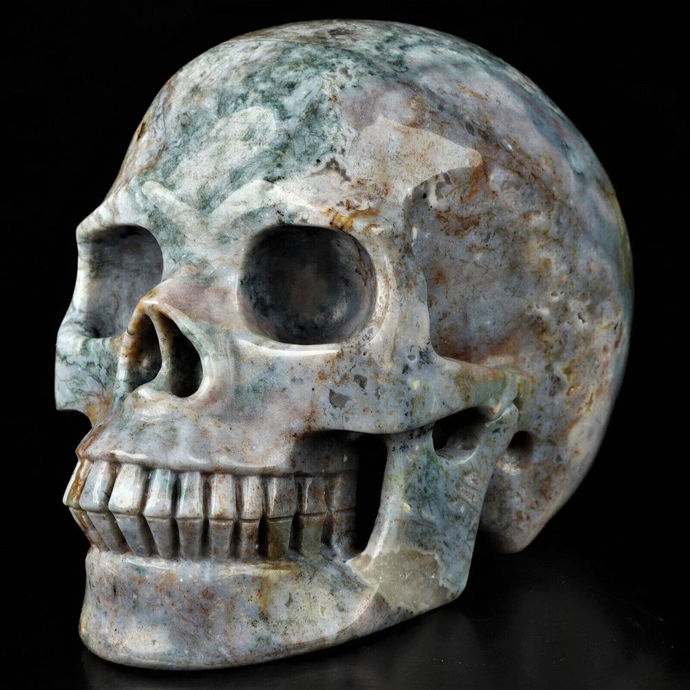 Magnifique Crane en pierre  Agate Indienne  150 Bar-le-Duc (55)