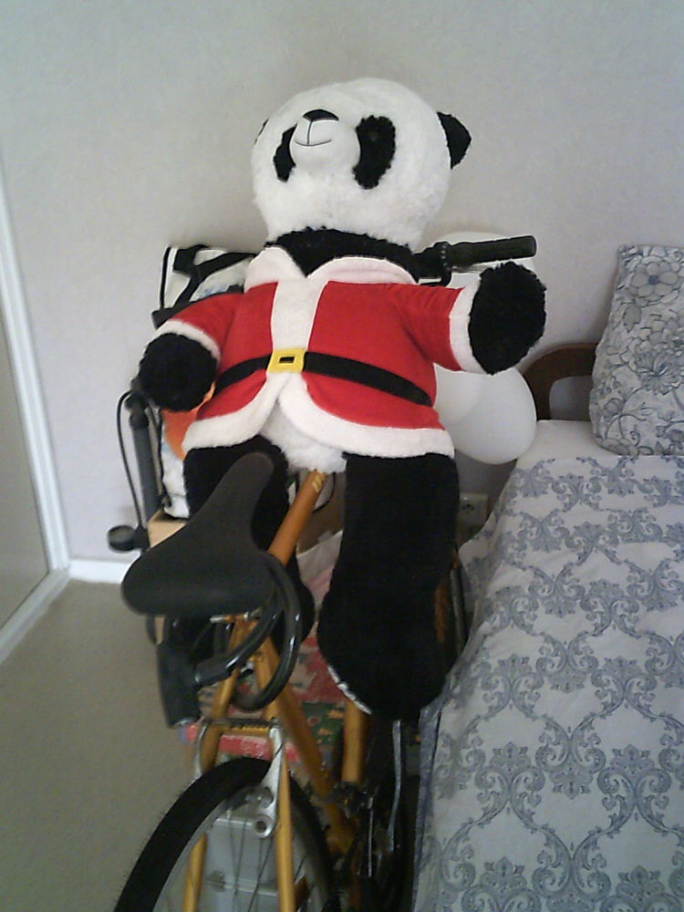 Magnifique peluche Panda 15 Toulouse (31)