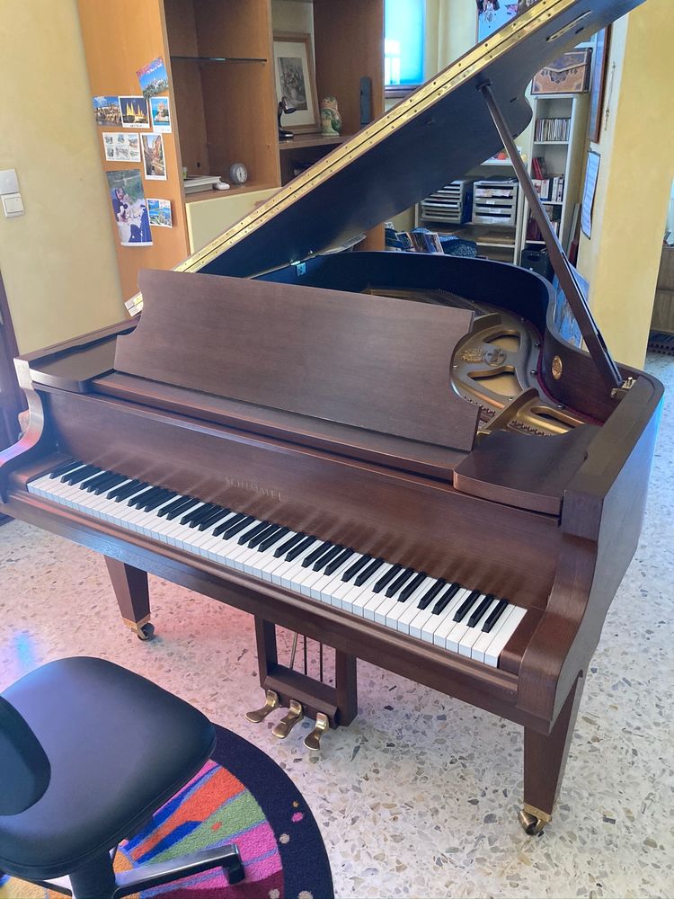 Magnifique piano � queue Schimmel en noyer 12000 Saint-Mitre-les-Remparts (13)