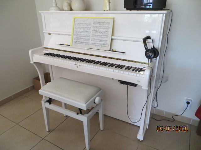 magnifique piano SEILER 6000 Rixheim (68)