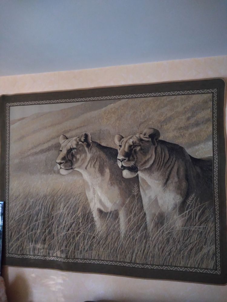 Magnifique tapis mural 40 Saint-Rapha�l (83)