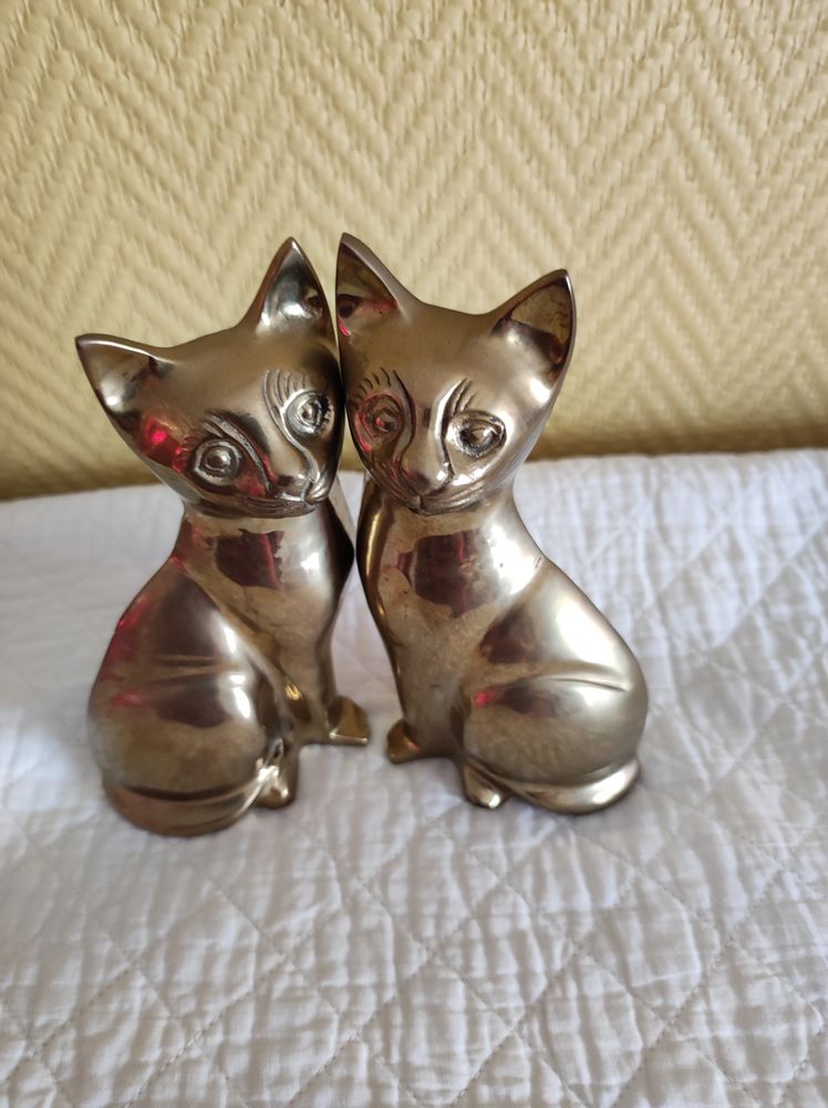 Magnifiques Chats 30 Drancy (93)