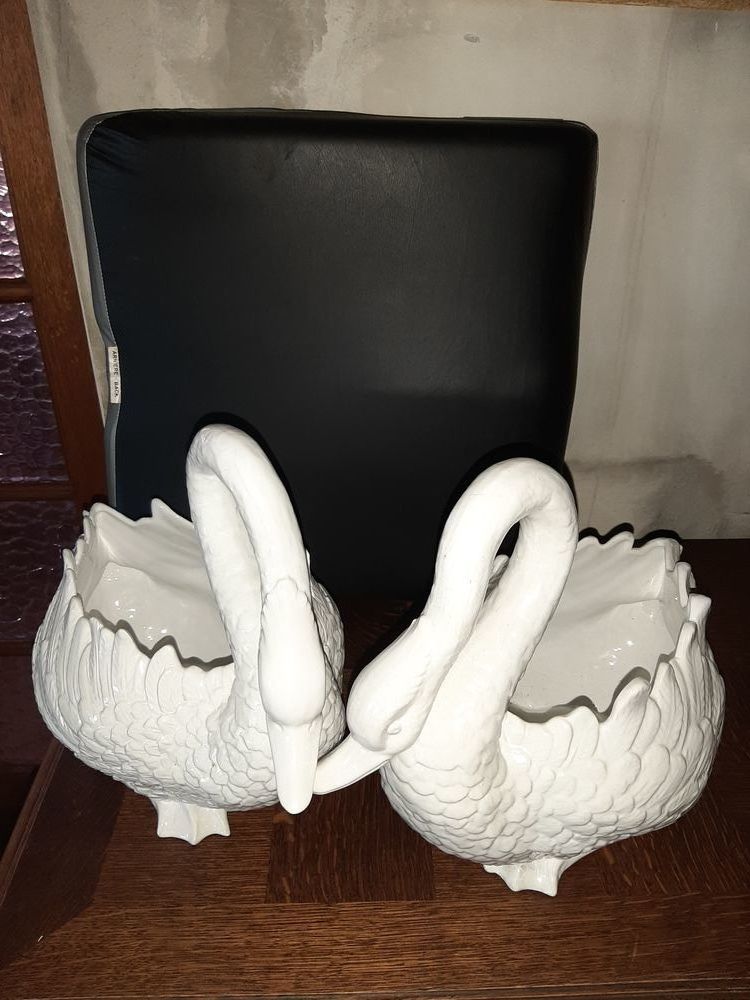 2 Magnifiques signes blancs 20 Fr�jus (83)